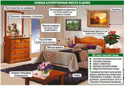 аллергены в квартире