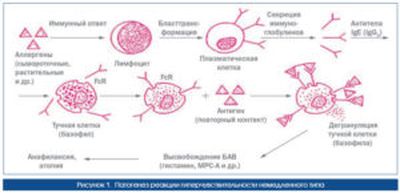 реакция аллергенов