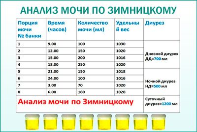 Проба Зимницкого: анализ суточной мочи