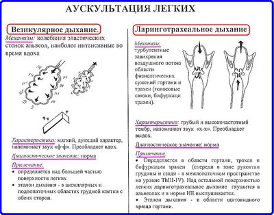 как проводится аускультация