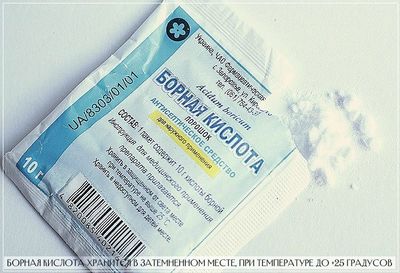 Борную мазь хранят при температурном режиме не выше 25 градусов по Цельсию