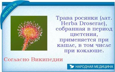 росянка от кашля