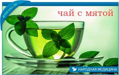 с мятой от кашля