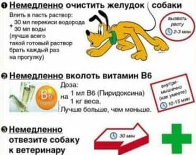 Первая помощь при отравлении