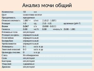 Общий анализ мочи: норма