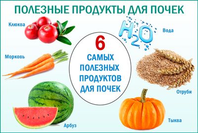 Что есть и пить для здоровья почек