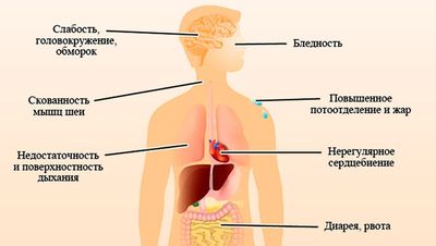 симптомы передозировки