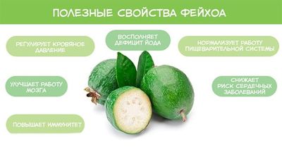 полезные свойства фейхоа