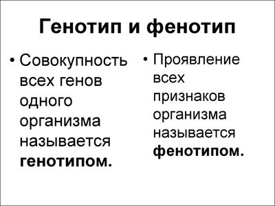 Различия фенотипа и генотипа