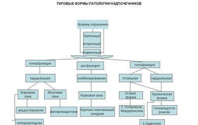 гиперфункция и гипофункция надпочечников, формы паталогии
