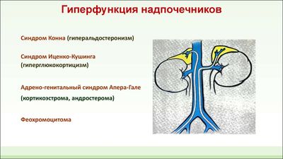 Гиперфункция надпочечников: причины и симптомы