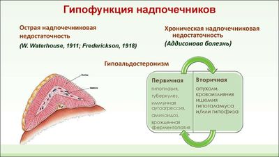 гипофункция надпочечников