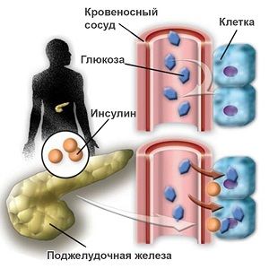 Глюкоза в крови