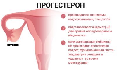 Влияния прогестерона на женщину