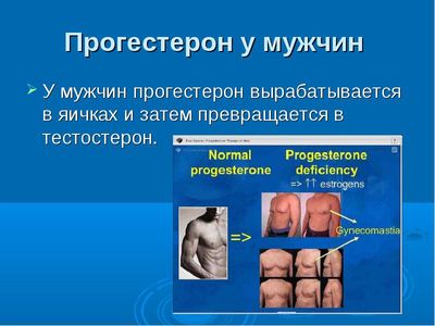 У мужчин прогестерон