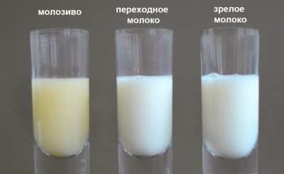 какого цвета молоко