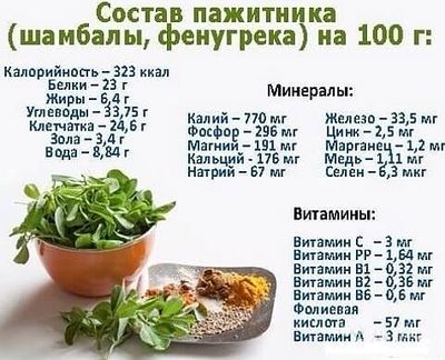 Состав пажитника