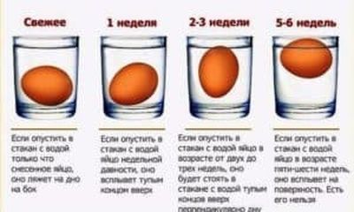 Проверка яиц на свежесть