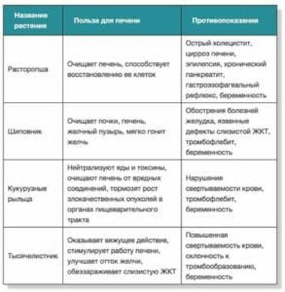 Полезные травы для желудочно-кишечного тракта