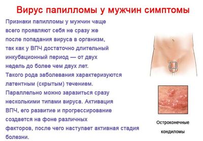ВПЧ у мужчин