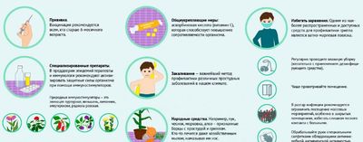 Профилактика простуды и гриппа
