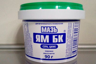 Лечебная мазь ЯМ — инструкция, цена и отзывы
