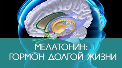 Гормон Мелатонин: инструкция по применению, аналоги
