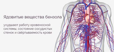 кровь