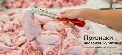 Курятина