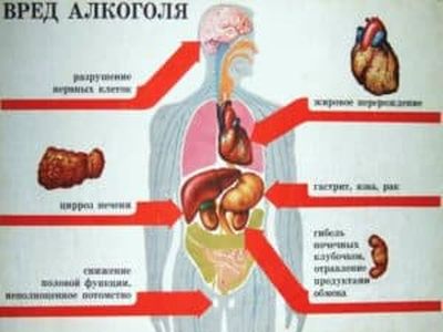 Воздействие алкоголя на организм человека
