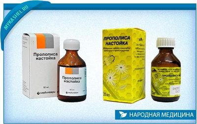 настойки из пчелинного клея