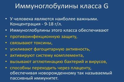 иммуноглобулин g