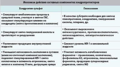 Механизм действия хондропротекторов