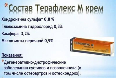 Состав мази Терафлекс М
