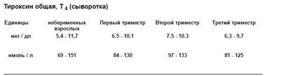 тироксин при беременности