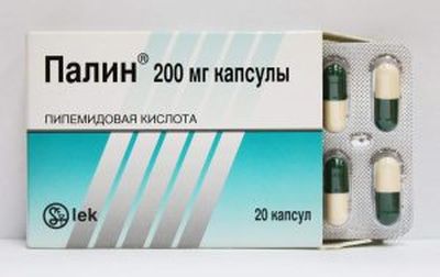 Палин