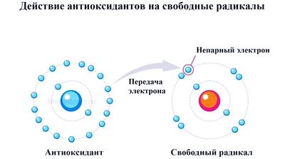 Схема