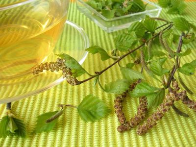Лечение уреаплазмоза народными средствами Листья березы