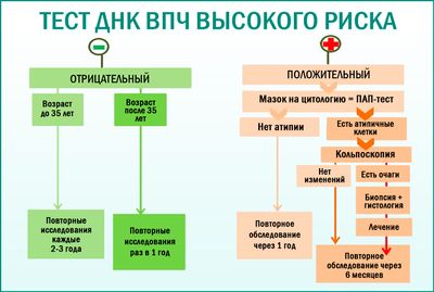 ВПЧ-тестирование