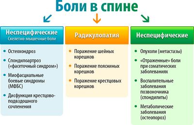 Почему болит спина