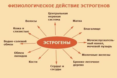 Признаки и лечение атрофического вульвовагинита