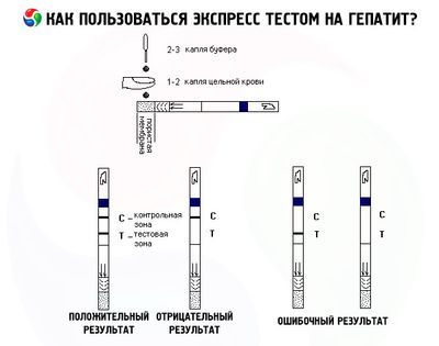 Экспресс-тест на гепатит