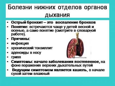 bolezni-nizhnix-otdelov-dyxatelnoj-sistemy-cheloveka