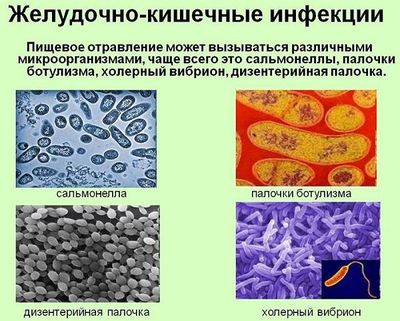 Кишечные инфекции