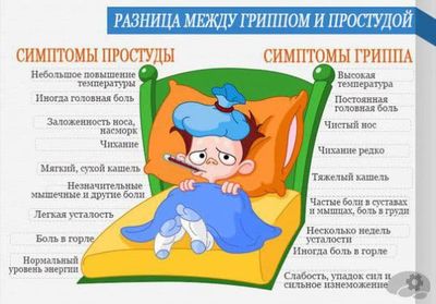 simptomy-prostudy-i-grippa