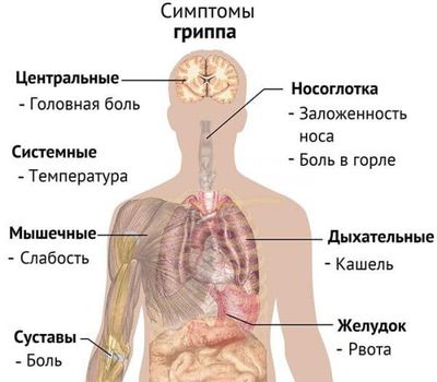 Симптомы гиппа