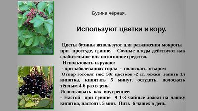Бронхо-легочные заболевания