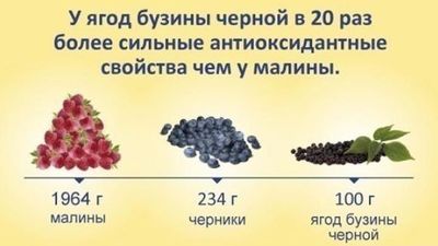 Варенье из бузины