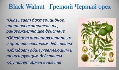 Польза