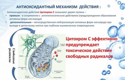 Антиоксидантные свойства препарата